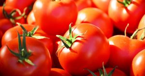 articulaciones tomates